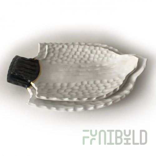 Dinner plate, white fish