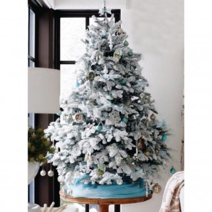 Designer spruce decorated with Snow