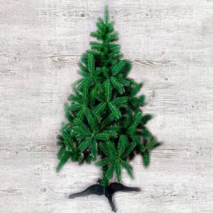 Southern Spruce