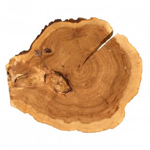 Table top saw cut elm Sihan