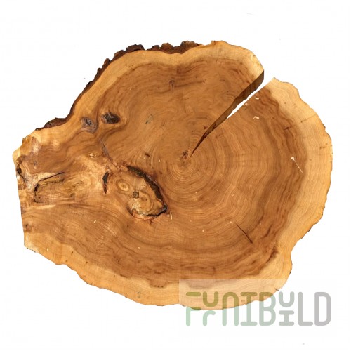 Table top saw cut elm Sihan