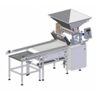 Machine for cutting dry slabs
