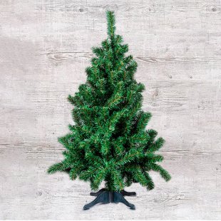 Vyatka spruce, green, narrow