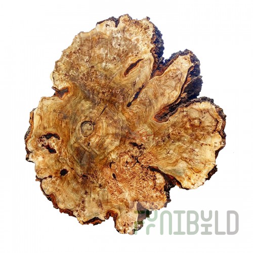 Poplar burl countertop Sinai