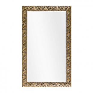 Mirror 01664