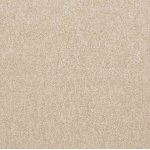 Carpet First