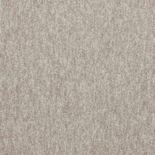 Carpet First