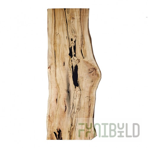 Slab Marburg