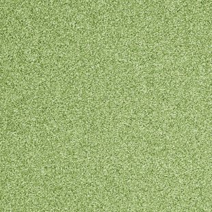Carpet Evolve