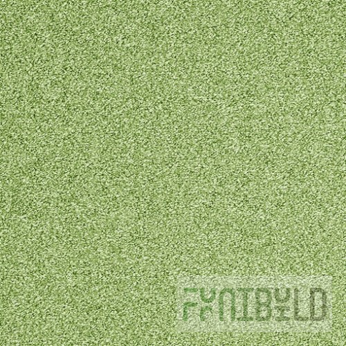 Carpet Evolve