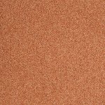 Carpet Evolve