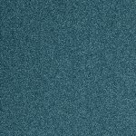 Carpet Evolve