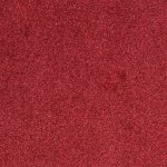 Carpet Evolve