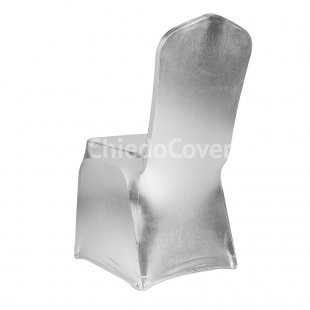 Case 08 metallic