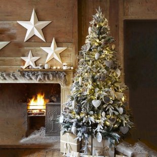 Designer spruce decorated with Christmas Star