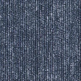 Carpet Daily