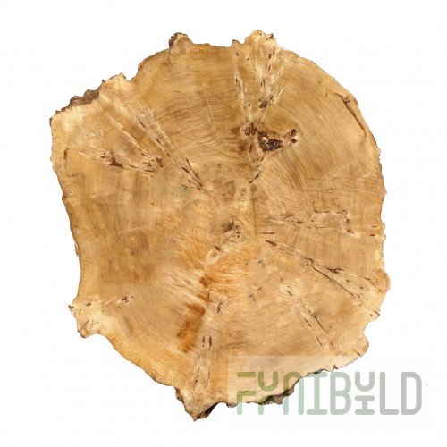 Table top burl cut Sloug