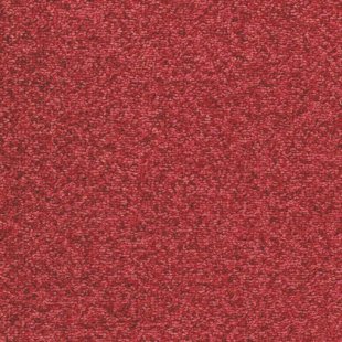 Carpet Quartiet