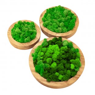 Eco Panel Circle
