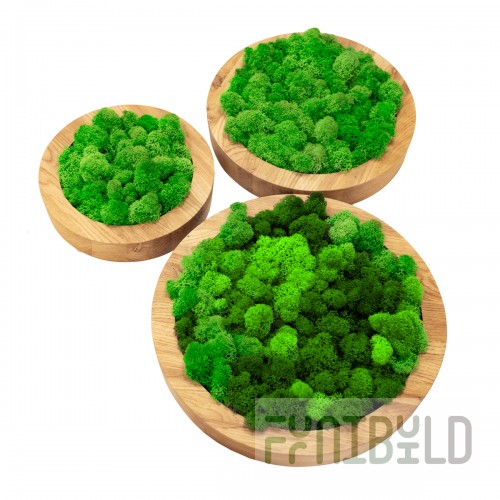 Eco Panel Circle