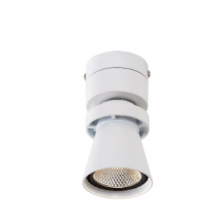 Ceiling lamp Citilux Dubl White