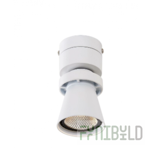 Ceiling lamp Citilux Dubl White