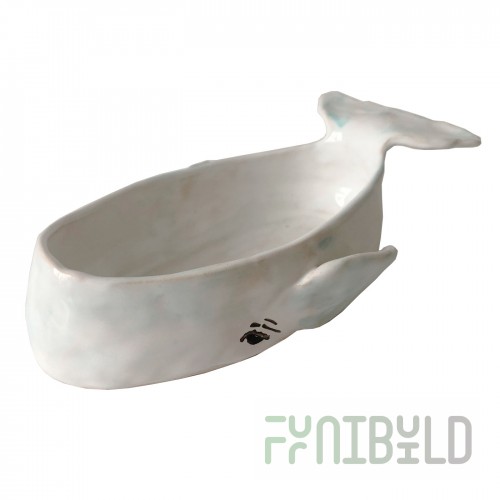 Dish Whale