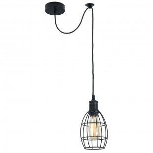 Pendant lamp Denver №1