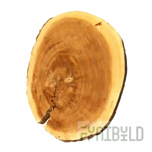 Table top cut poplar Skole