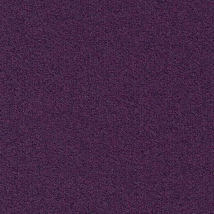 Carpet Millenium NXTGEN