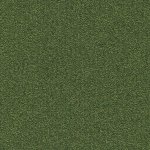 Carpet Millenium NXTGEN