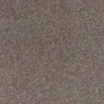 Real Chevy Carpet