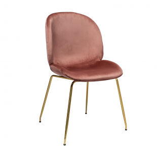 Turin chair, powder velvet, gold legs