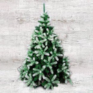 Spruce Empress