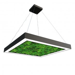 Glow Moss Chandelier