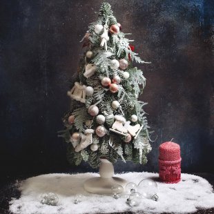 Cozy pine tree