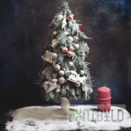 Cozy pine tree