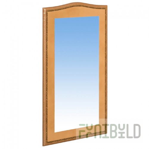 Chevalier's Mirror