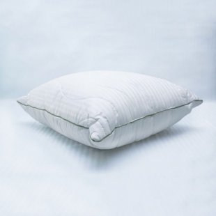 Pillow bamboo in satin 70x70