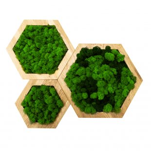 Eco Panel Hexagon