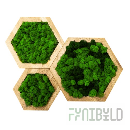 Eco Panel Hexagon
