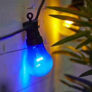 Circus Light Bulb Garland 10 Bulbs, Multicolored