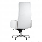 Executive chair Lester microvelour light gray