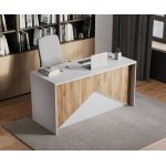 MAX Modern Geometric Executive Desk