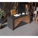MAX Modern Geometric Executive Desk