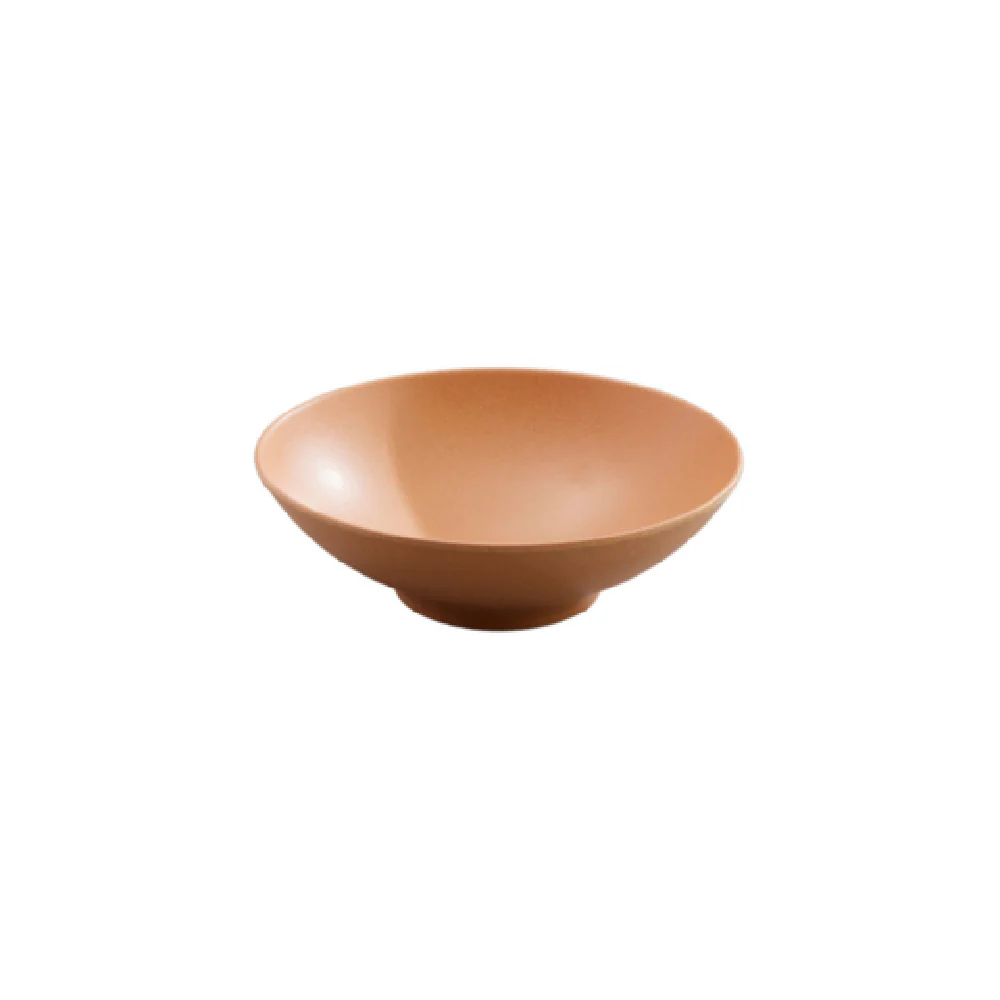 GET Enterprises PA1930923312 8.54 Inch Porcelain Bowl Corona Cosmos Mars