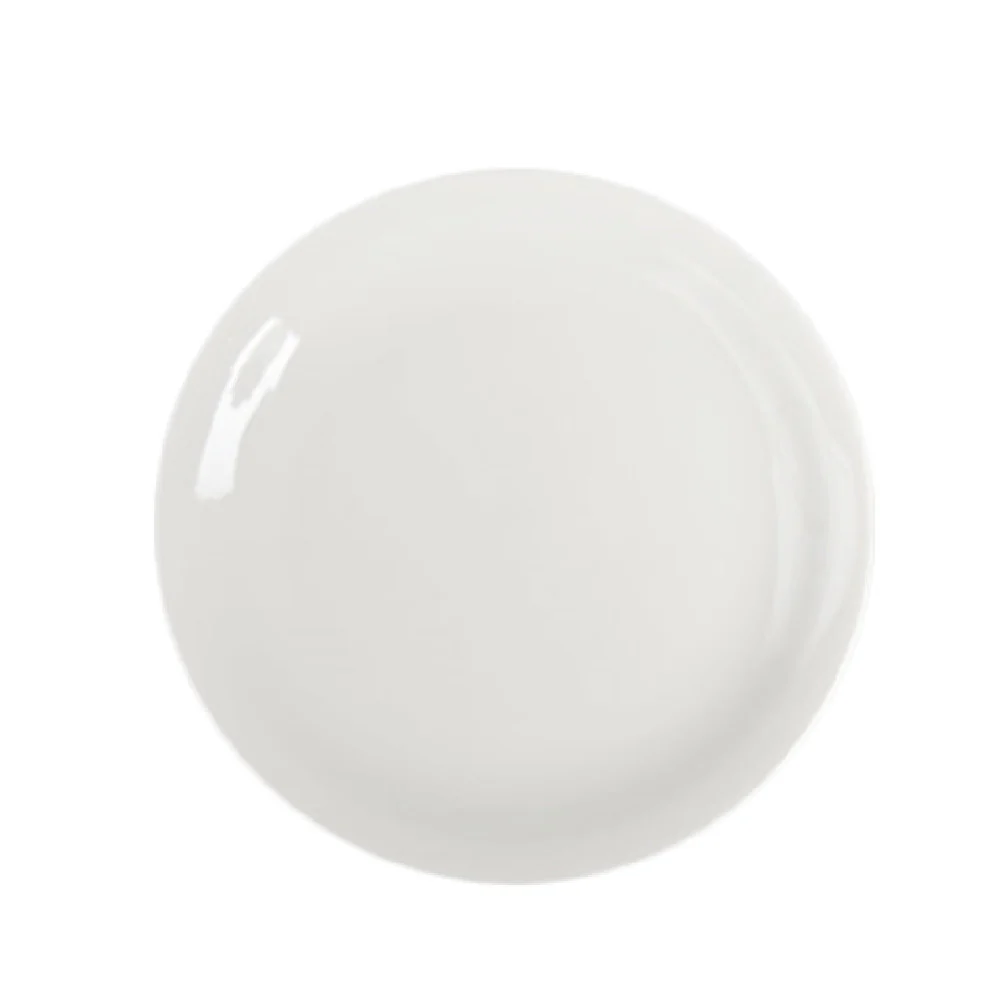 Steelite HL22400 9 Inch Round Narrow Rim Plate China Undecorated