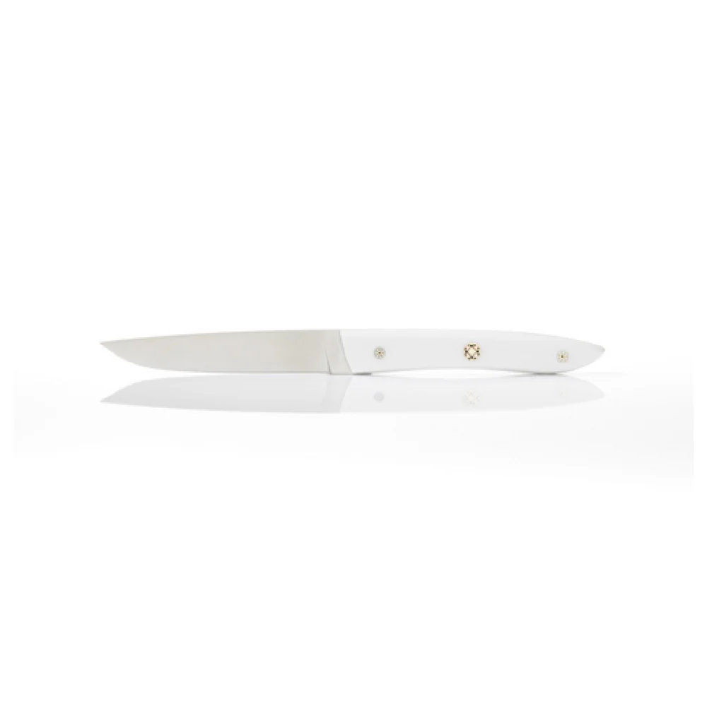 Revol 201789 Knife 18/10 Stainless Steel Non Serrated Antibacterial White Revol 201789 Knife 18/10 Stainless Steel Non Serrated Antibacterial White