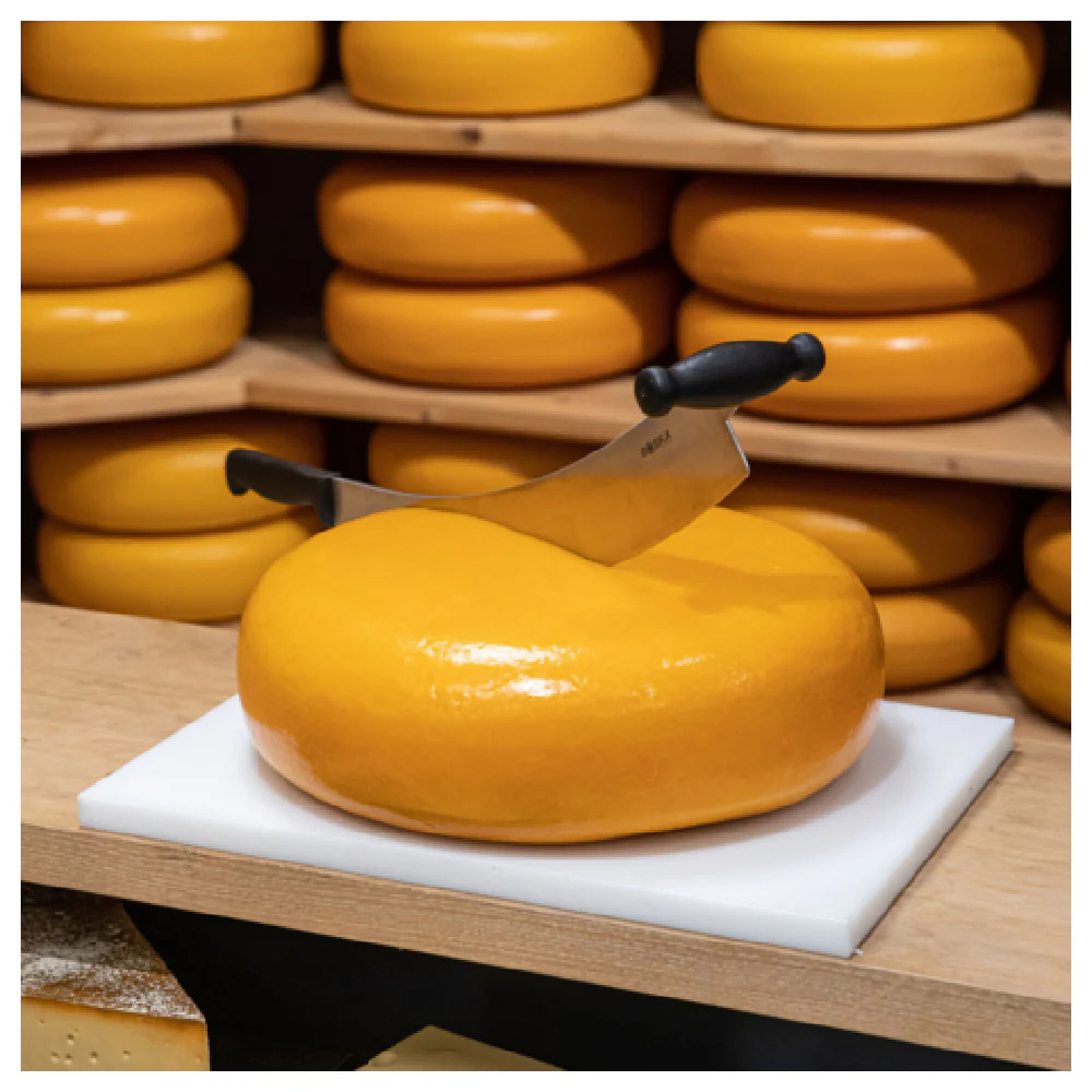 BOSKA Professional Cheese Equipment 106440 Boska Dutch Cheese Knife 4.72''W X 22.4''D X 4.33''H Curved Stainless Steel Blade BOSKA Professional Cheese Equipment 106440 Boska Dutch Cheese Knife 4.72''W X 22.4''D X 4.33''H Curved Stainless Steel Blade