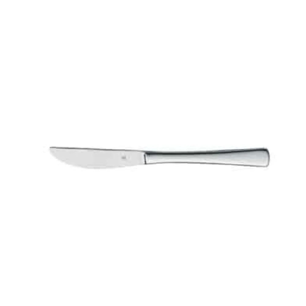 BauscherHepp 12.0803.6049 8-1/4 Inch Monobloc Solid Handle Table Knife 18/10 Stainless Steel Polished Finish